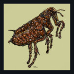Póster Flea<br><div class="desc">Impresión artística de una pulga común (Siphonaptera) sobre lienzo verde. Una verdadera obra maestra de arte digital única, creada por el uso de mi proceso multicapa y multitextura único. La impresión disponible en todos los tamaños, incluyendo "Colosal" de hasta 44"x44"</div>