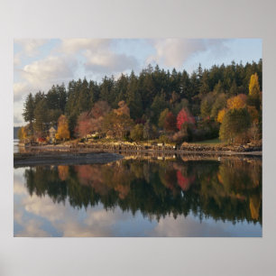 Póster Fletcher Bay