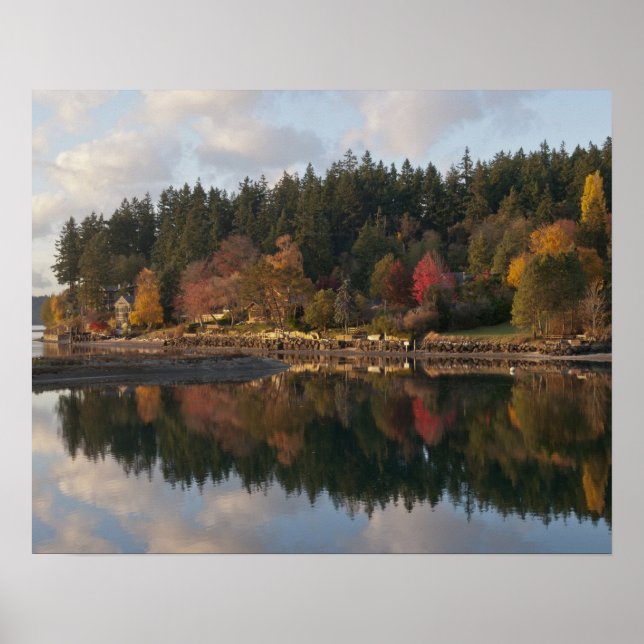 Póster Fletcher Bay (Frente)