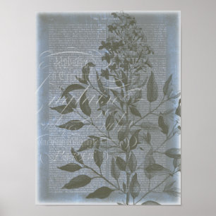 Póster Fleur de Bleu I