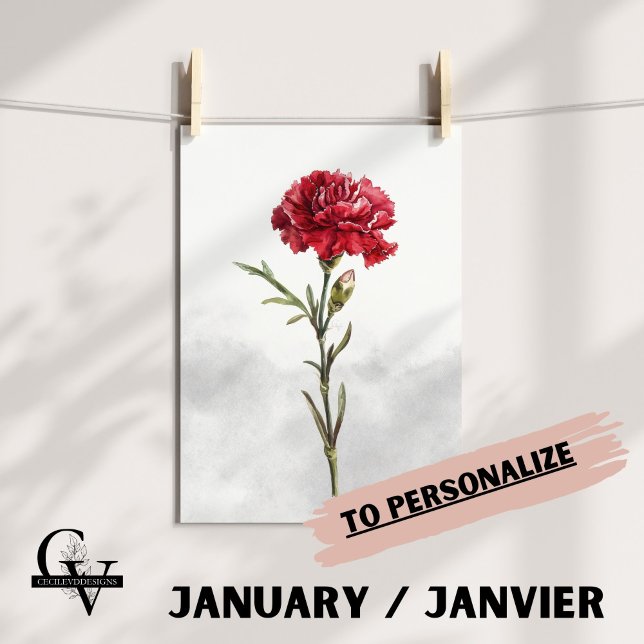 Póster Fleur de janvier aquarelle botanique oeillet rouge (Fleur de Naissance du mois de Janvier : L'Oeillet)