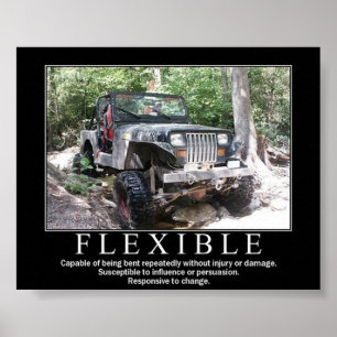 PÓSTER FLEXIBLE