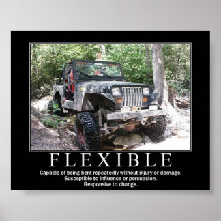 PÓSTER FLEXIBLE