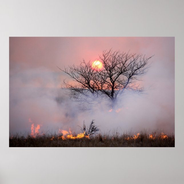 Póster Flint Hills Kansas Prairie Burn Poster (Frente)