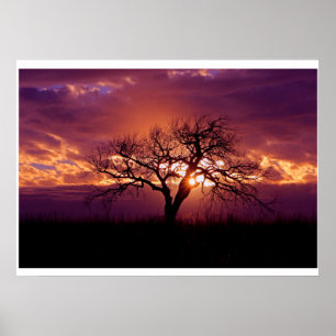 Póster Flint Hills Sunset
