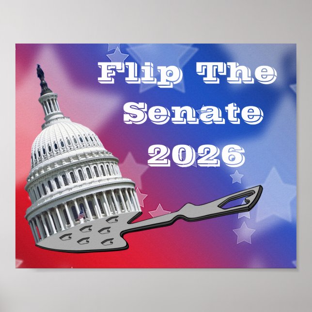 Póster Flip The Senate Vote 2026 (Frente)