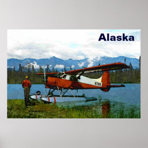 Póster Floatplane De Havilland Beaver