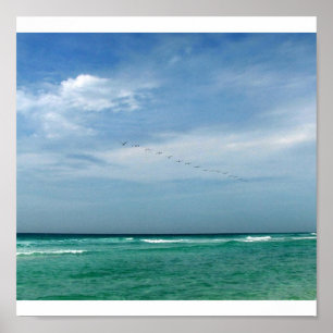Póster Flock in Flight - Destin, Florida