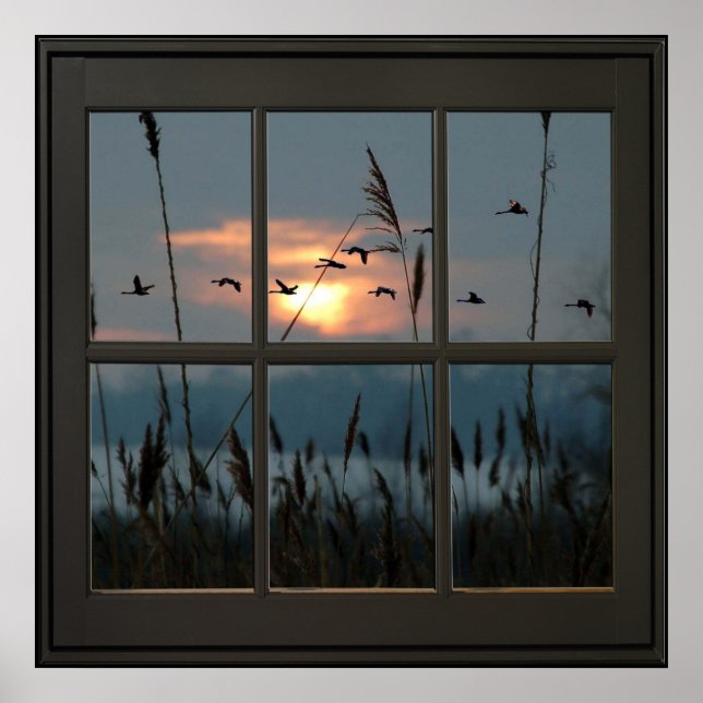 Póster Flock of Birds Faux Window Illusion 24x24 Black (Frente)