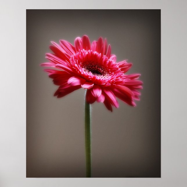 Póster Flor (Frente)