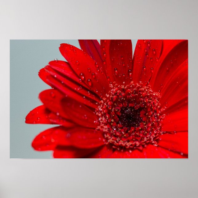 Póster flor (Frente)