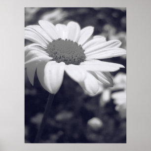 Póster Flor