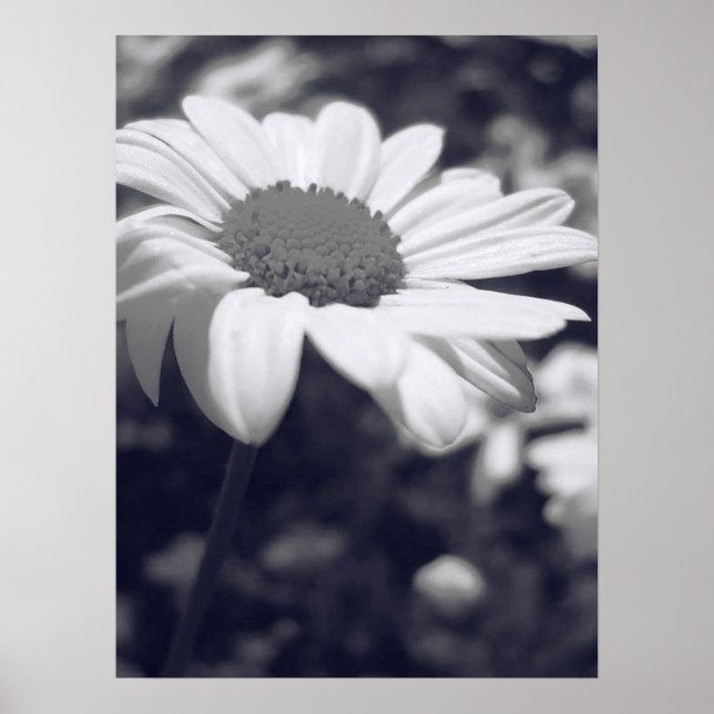 Póster Flor (Frente)