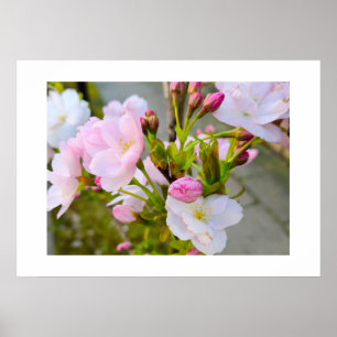 Póster Flor 