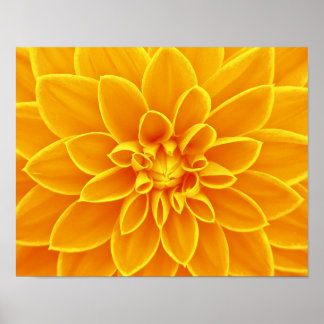 Póster flor-663650 FLORES AMARILLOS NARANJAS DE VERANO LU