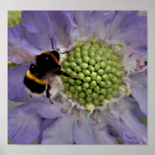 Póster Flor #6 (detalle)