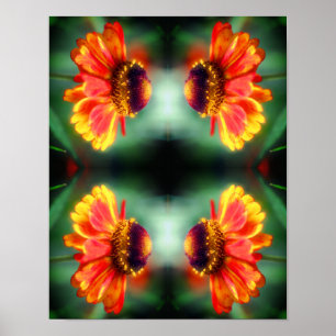 Póster Flor abstracta de Zinnia soñadora 