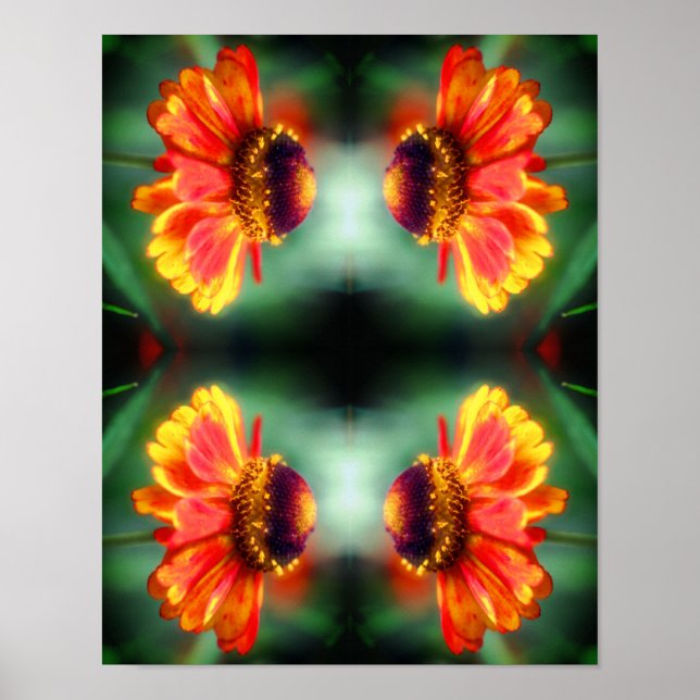 Póster Flor abstracta de Zinnia soñadora  (Frente)