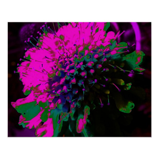 Póster Flor Abstracta Retro Tripiante de Rosa Caliente y  (Anverso)