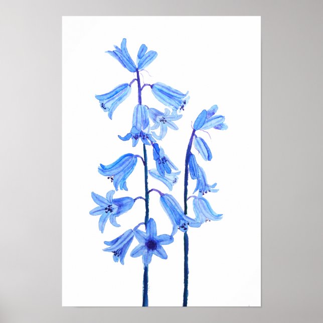 Póster Flor acuarela de arándanos botánicos (Frente)