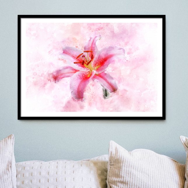 Póster Flor acuarela de Stargazer Lily - wb 01 (Subido por el creador)