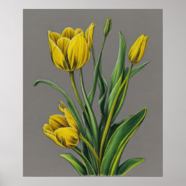 Póster Flor acuática de tulipán amarillo