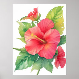 Póster Flor acuática rosada Hibiscus