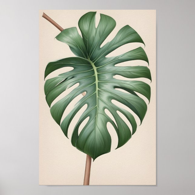 Póster Flor albo de Monstera, hermosa tierra (Frente)