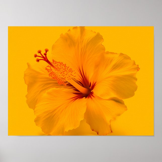 Póster Flor amarilla (Frente)