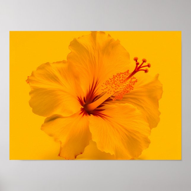 Póster Flor amarilla (Frente)