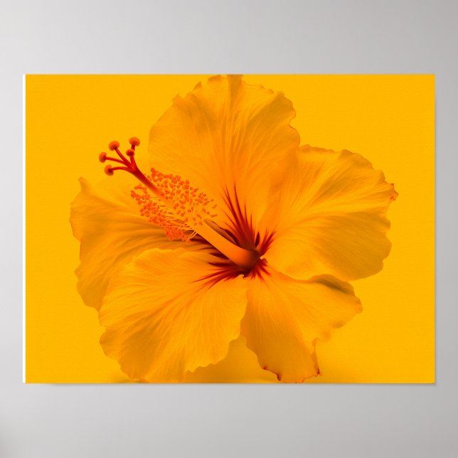 Póster Flor amarilla (Frente)