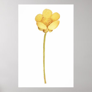 Póster Flor amarilla en un maripo en flor