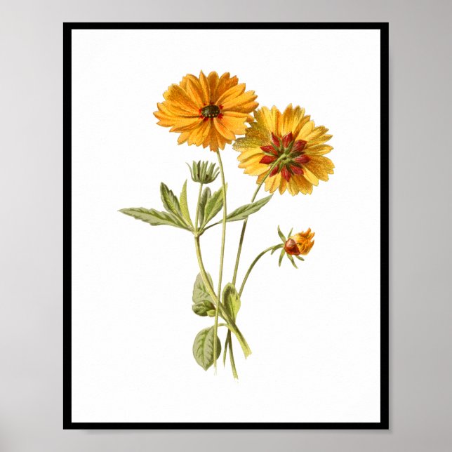 Póster Flor Amarilla simple Floral (Frente)