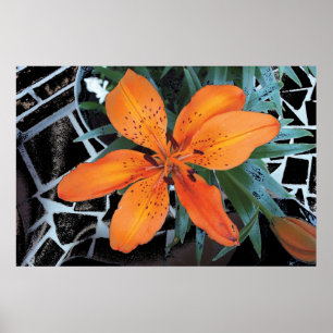 Póster Flor anaranjada con el fondo