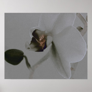 Póster Flor artística en tonos grises