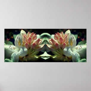 Póster Flor Azalea Blanca Y Espejo De Toro Resumen