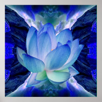 Flor azul de loto