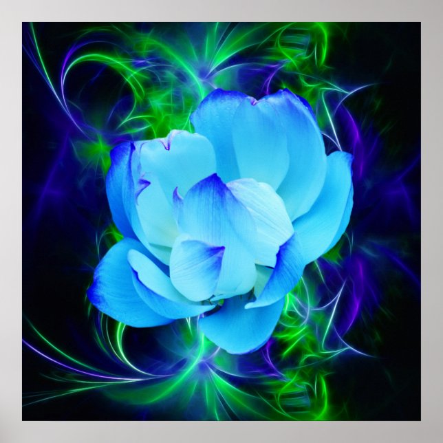 Póster Flor azul de loto y su significado (Frente)