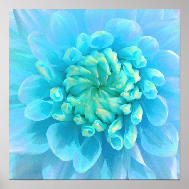 Póster Flor azul turquesa en acuarela (Frente)