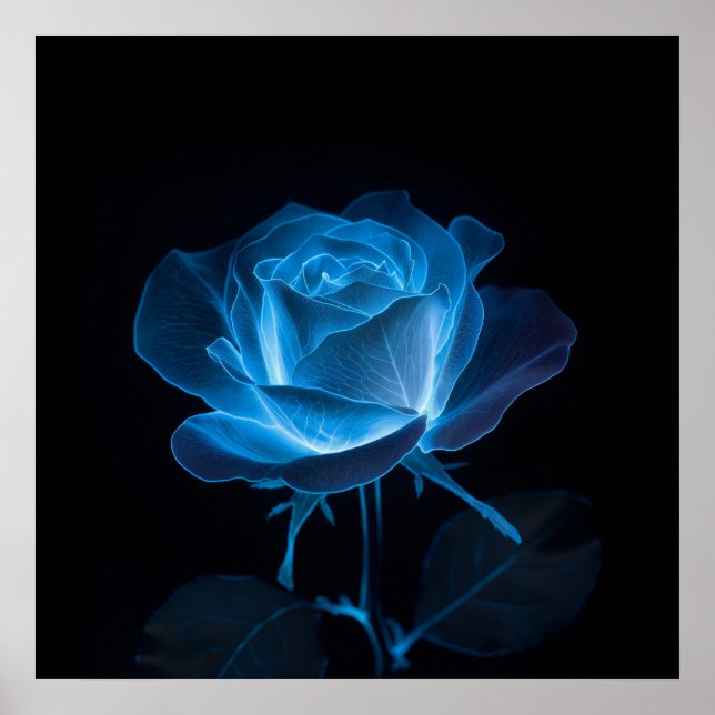 Póster Flor bioluminiscente azul Rosa sobre negro (Frente)