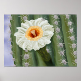Póster Flor blanca de Saguaro Cactus ilustrada