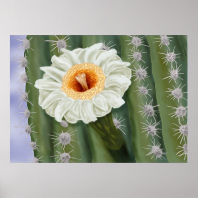 Póster Flor blanca de Saguaro Cactus ilustrada (Frente)