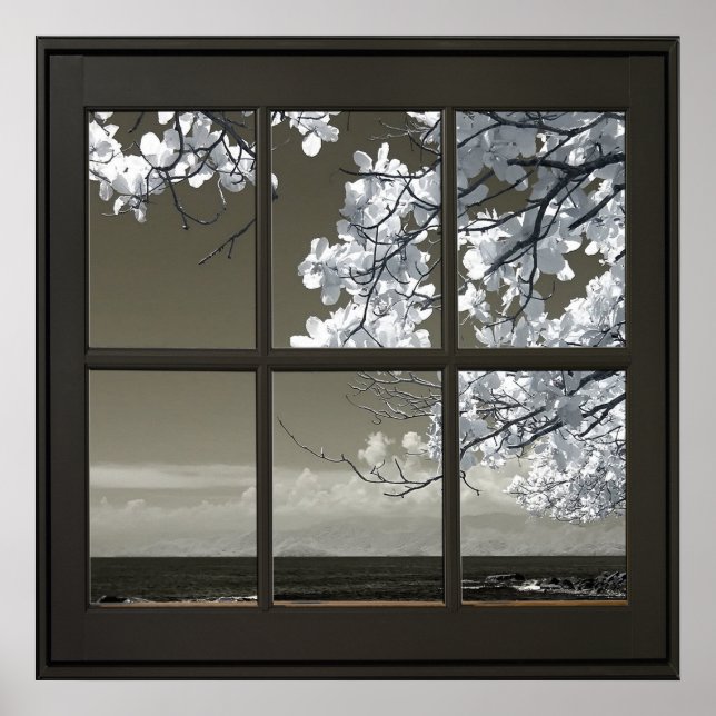 Póster Flor blanca Floración 24x24 Black Faux Window (Frente)