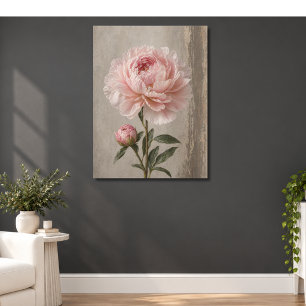 Póster Flor Botánica de Peonía Rosa Sonrojada con Capullo