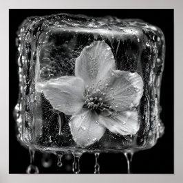 Póster Flor Congelada Derritiendo Hielo