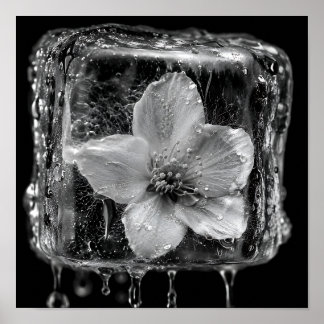 Póster Flor Congelada Derritiendo Hielo