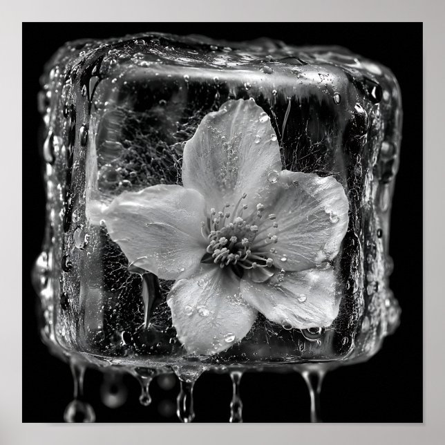 Póster Flor Congelada Derritiendo Hielo (Frente)