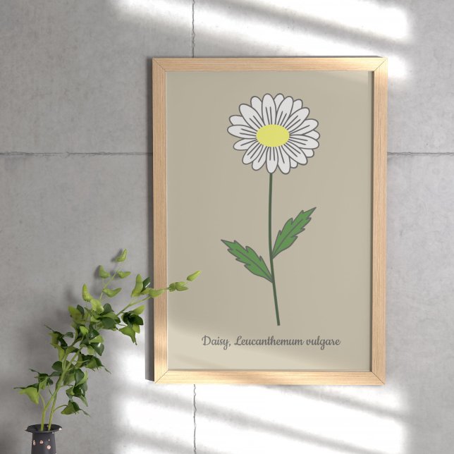 Póster Flor Daisy Pastel Botánica (Botanical Daisy Flower Poster)