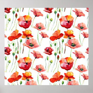 Póster Flor De Adormidera: Sencillo Fondo Sin Marea.