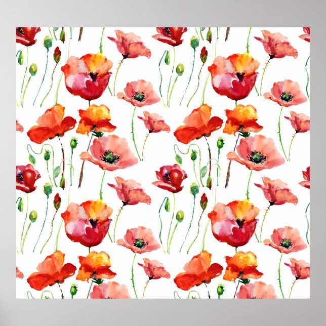 Póster Flor De Adormidera: Sencillo Fondo Sin Marea. (Frente)